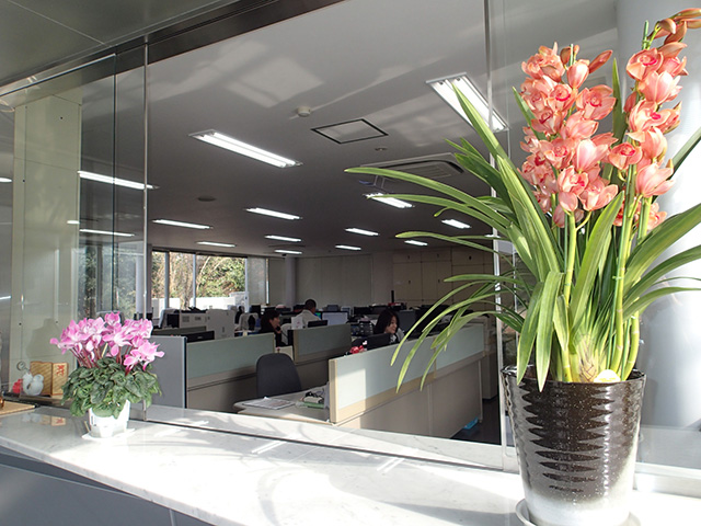 画像：オフィスの様子